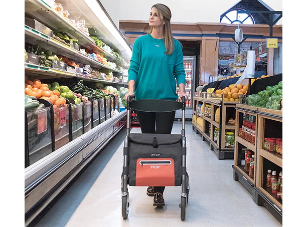 Buy The Shopper Rollator Mobility Aid For Shopping  - DMG Medical Supply